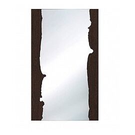 Зеркало настенное ГлассВальд-3, Основной цвет: венге, Ширина : 600, Глубина: 15, Высота: 1000, Артикул: 03021040500post-test