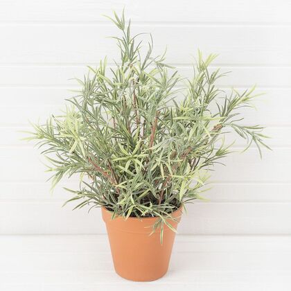 Розмарин узкий лист, Диаметр: 110, Высота: 340, Материал: Пластик, Артикул: ЦС35/143-1post-test