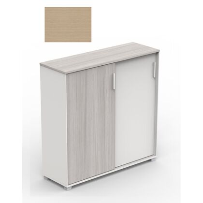 Шкаф-купе средний Файл Кабинет (File Cabinet), Материал дверей: ЛДСП/Меламин, Основной цвет: С-77 (S-77), Ширина: 1200, Высота: 1202, Глубина: 400, Стекло: Нет, Тип замка: Нет, Двери: ЛДСП/Меламин, Топ: ЛДСП/Меламин, Объем: 0,17, Артикул: ДГ84-2.120120Ф (DG84-2.120120F)post-test