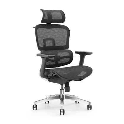 Кресло эргономичное ЭКСПЕРТ ЭРГО СОЙЛ ЛБХ01 БЛЭК (EXPERT ERGO SAIL LBH01 BLACK), Основной цвет: Черный/Черный/Черный, Ширина: 710, Высота: 1150, Глубина: 630, Ролики: 60 мм с мягким уритановым  покрытием, Каркас: Металл и полимерный сплав, Материал подлокотников: 4Д (D) подлокотники ( двигаются вперед-назад, вверх-вниз, вправо-влево, поворот), Вес: 21, Материал крестовины: Полированный алюминиевый спплав, 684 мм 5-ти лучевая крестовина, Материал сиденья: сетка, Подголовник: Да, Регулировка подголовника: подголовник с регулируемой высотой, Материал спинки: Сетка черная, Рекомендованная максимальная нагрузка: до 130 кг, Регулировка спинки: к (c)пинка, регулируемая по высоте, Объем: 0,2, Артикул: САИЛ ЛБХ01 БЛАК (SAIL LBH01 BLACK)post-test