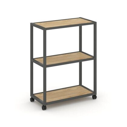 Шелф Мобайл Стеллаж 3 уровня 1 секция 800x400x1046, Основной цвет: Тиквуд Светлый/Металл Антрацит, Ширина: 800, Высота: 1046, Глубина: 400, Максимальная ширина: 800, Максимальная глубина: 400, Максимальная высота: 1046, Объем: 0,055, Бренд: РИВА ООО, Артикул для сайта: VR.LT-STK-301.08post-test