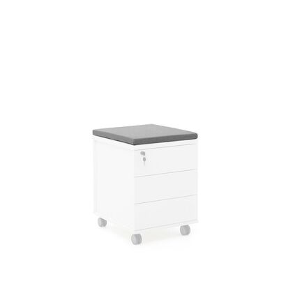 УНИ/UNI Подушка на тумбу 43x58xh3, Основной цвет: Серый, Ширина: 43, Высота: 3, Глубина: 58, Максимальная ширина: 43, Максимальная глубина: 58, Максимальная высота: 3, Вес: 0,7, Объем: 0,008, Бренд: ЦЕНТРЭКСИМ ООО, Артикул для сайта: seat CF3 Manhattan greypost-test