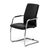ВЕЛ_СИТ/WELL_SEAT Кресло на полозьях 44/55x41/54xh93, Основной цвет: Чернй/Хром, Ширина: 55, Высота: 93, Глубина: 54, Максимальная ширина: 55, Максимальная глубина: 54, Минимальная ширина: 44, Максимальная высота: 93, Минимальная глубина: 41, Вес: 13,2, Объем: 0,17, Бренд: ЦЕНТРЭКСИМ ООО, Артикул для сайта: Well_seat slide Ecotex 3001 blackpost-test