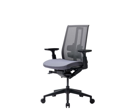 Кресло Дуорест Д3-С (Duorest D3-S) 690x560x610 Д3-С (D3-S) Серый, Ролики: 60 мм, Основной цвет: Серый, Ширина: 690, Высота: 610, Глубина: 560, Материал подлокотников: 2D, Вес: 26, Материал сиденья: Ткань ВТ (WT), Подголовник: Нет, Материал спинки: Сетка КАТЕ (KATE), Артикул: Д3-С (D3-S), изображение 2post-test