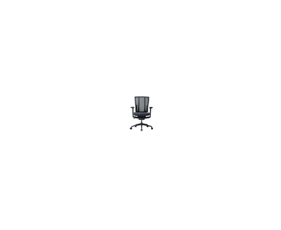 Кресло Дуорест БР-250Ц (Duorest BR-250C) 690x560x610 БР-250К (BR-250C) Чёрный, Основной цвет: Чёрный, Ширина: 690, Ролики: 60 мм, Высота: 610, Глубина: 560, Материал подлокотников: 3Д (3D), Вес: 26, Материал крестовины: Пластик, Материал сиденья: Ткань ЕК34, Материал спинки: Сетка черная, Рекомендованная максимальная нагрузка: 130 кг, Артикул: БР-250К (BR-250C), изображение 2post-test