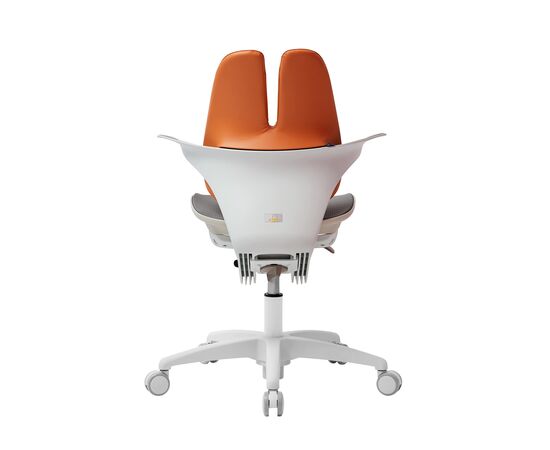 Кресло Дуорест РА-070МДС (Duorest RA-070MDS) 690x560x610 РА-070МДС (RA-070MDS) Коричневый/серый, Основной цвет: Коричневый/серый, Ширина: 690, Высота: 610, Глубина: 560, Вес: 26, Материал крестовины: 5-лучевая база, Материал сиденья: Сетка Ясень, Механизм: газ-лифт (вращение, верх-вниз) с блокировкой осевого вращения -ДУАЛИНДЕР (DUALINDER), Подголовник: Нет, Материал спинки: экокожа, Цвет крестовины: Белый, Артикул: РА-070МДС (RA-070MDS), изображение 5post-test