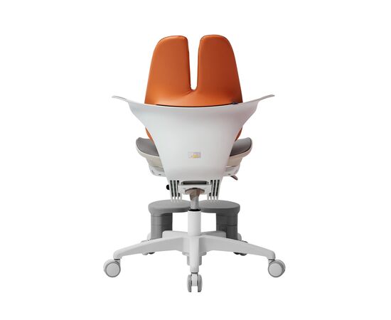 Кресло Дуорест РА-070МДСФ (Duorest RA-070MDSF) 690x560x610 РА-070МДСФ (RA-070MDSF) Коричневый/серый, Основной цвет: Коричневый/серый, Ширина: 690, Высота: 610, Глубина: 560, Вес: 26, Материал крестовины: 5-лучевая база, Материал сиденья: Сетка Ясень, Механизм: газ-лифт (вращение, верх-вниз) с блокировкой осевого вращения -ДУАЛИНДЕР (DUALINDER), Подголовник: Нет, Материал спинки: экокожа, Артикул: РА-070МДСФ (RA-070MDSF), изображение 5post-test