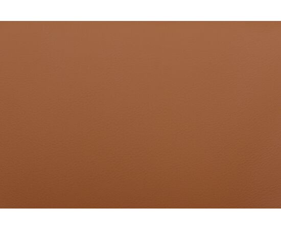 Кресло Данте-СФ 60x65x99 C2561-12 Светло-коричневый, Основной цвет: Светло-коричневый, Ширина: 60, Высота: 99, Глубина: 65, Максимальная ширина: 60, Максимальная глубина: 65, Максимальная высота: 99, Вес: 24,2, Материал сиденья: экокожа, Подголовник: черный нейлон, с накладками из экокожи в цвет кресла, Цвет сиденья: Светло-коричневый, Цвет спинки: Светло-коричневый, Максимальная нагрузка: 150, Материал спинки: экокожа, Гарантия: 5 лет, Страна производитель: Китай, Объем: 0,174, Бренд: РИВА ООО, Артикул для сайта: C2561-12, изображение 13post-test